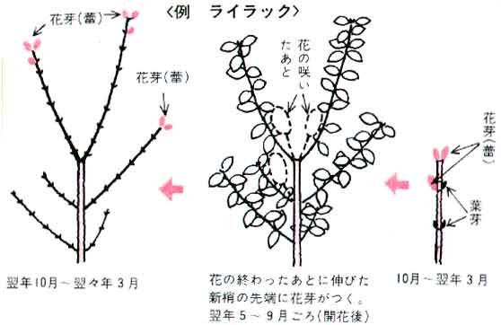 方法 株式会社吉村造園