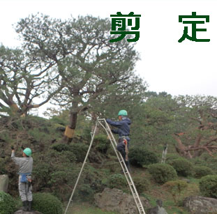 名称未設定 1